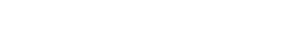 Shopify Partner